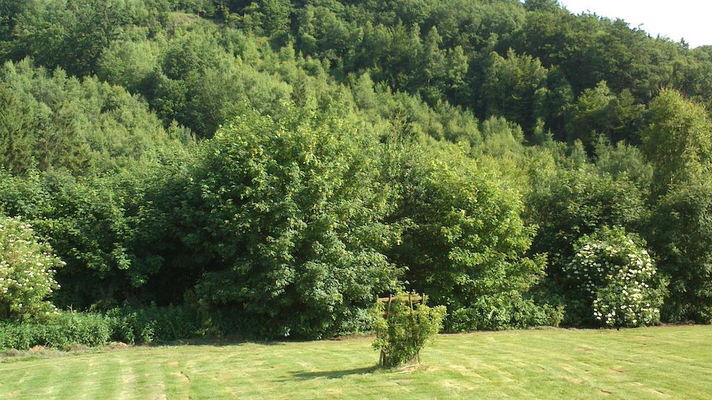 La Cle Des Champs Villa Bertogne Bagian luar foto